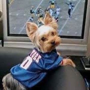 Meet your Posher, Nonka